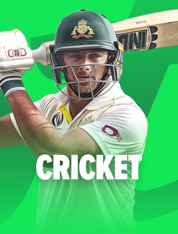 Cricket Betting illustration